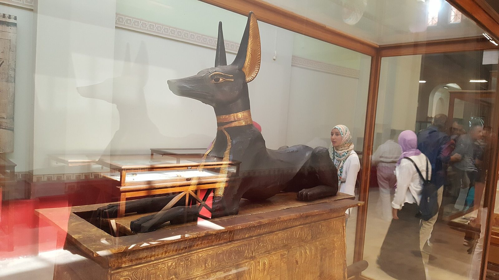 Animal-related museum object in a gallery context